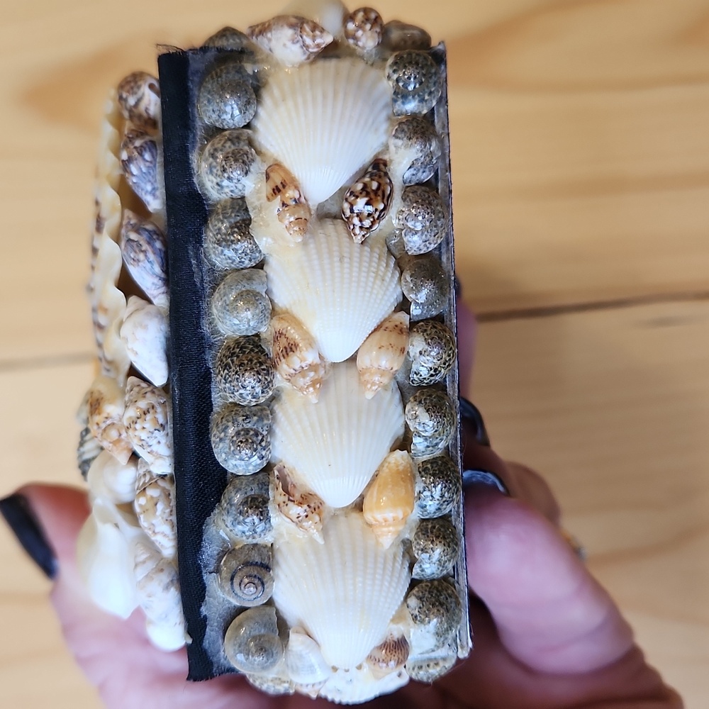 Sea Shell Box Trinkets Jewelry - Picture 7 of 12